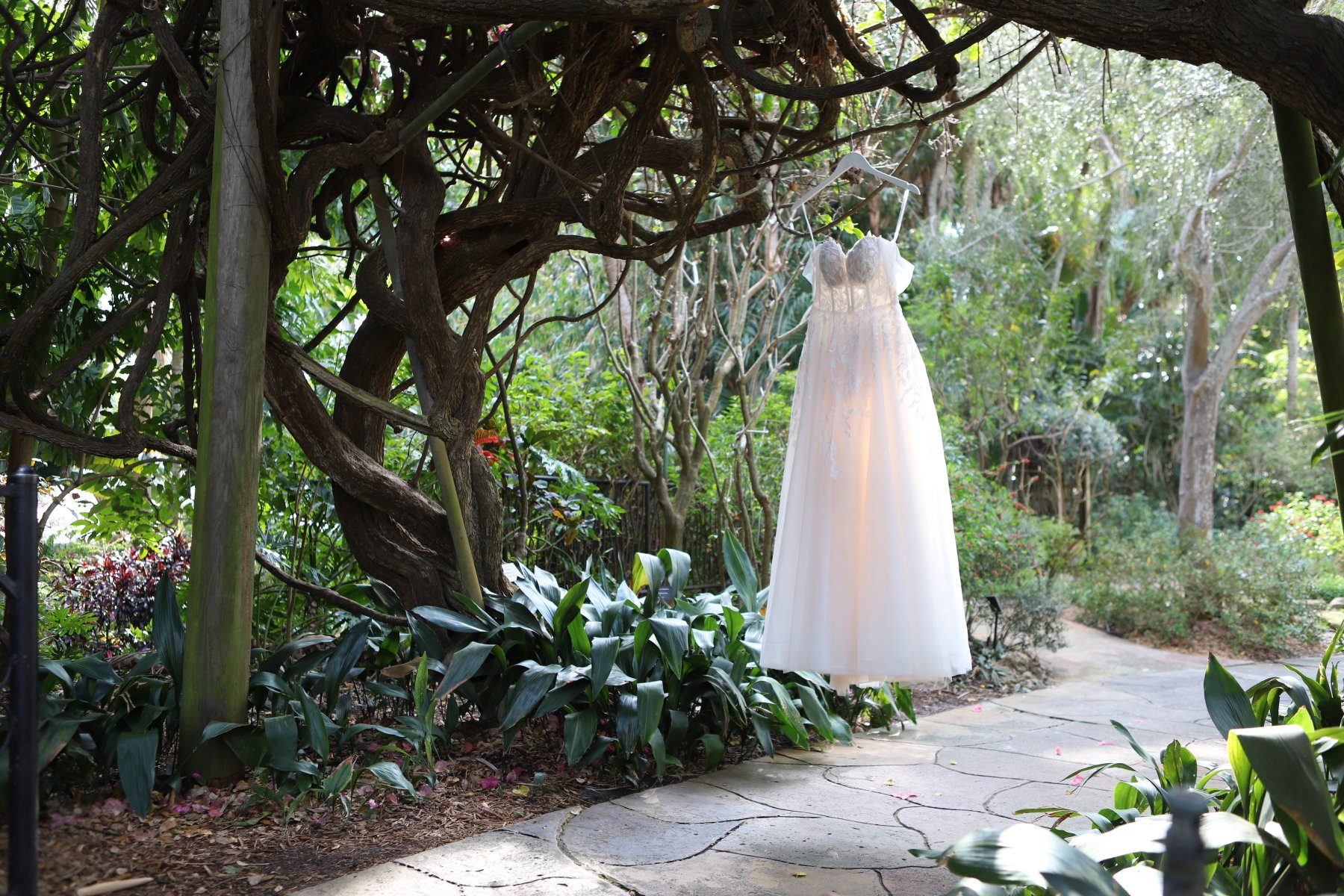  : CARLY and JARED : VICTOR'S PHOTOJOURNALISM